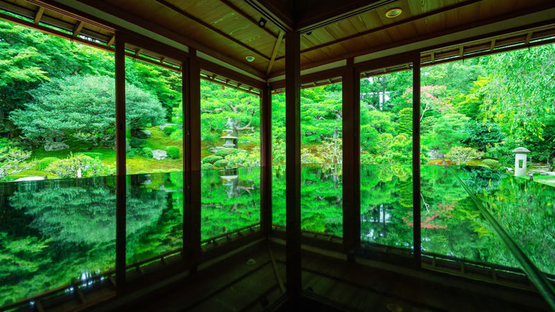 Miho Museum & Old Chikurin-in & Hiyoshi Taisha Shrine on Mount Hiei & Lake Biwa-Shirahige Shrine One-Day Tour (Osaka/Kyoto pick-up and drop-off available) - Should you book this Miho Museum and Lake Biwa tour?