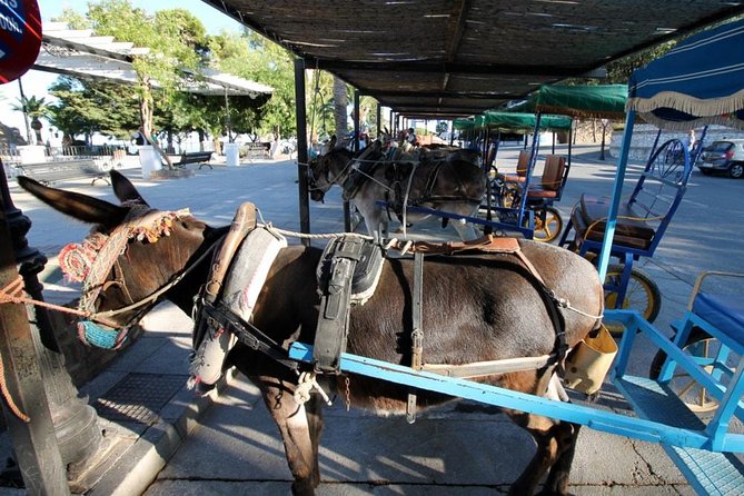 Mijas Village Private Day Tour - Additional Information and Cancellation Policy