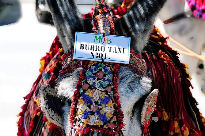 Mijas Village Private Day Tour - Itinerary Highlights