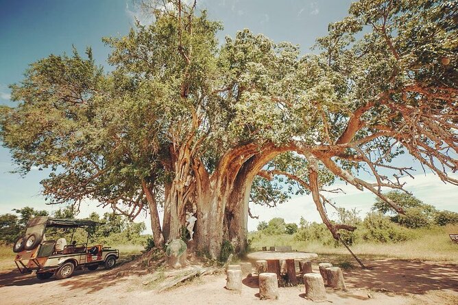 Mikumi National Park 3 Day Tour - Booking Information