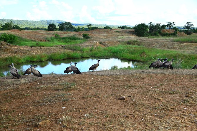 Mikumi National Park(3Days) - Cancellation and Refund Policy