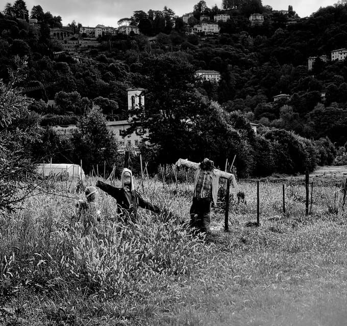 Milan: Bergamo High Town and Wine Tasting Tour - Practical Details: What You Need to Know