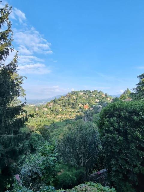 Milan: Bergamo High Town and Wine Tasting Tour - Final Thoughts: Is This Tour for You?