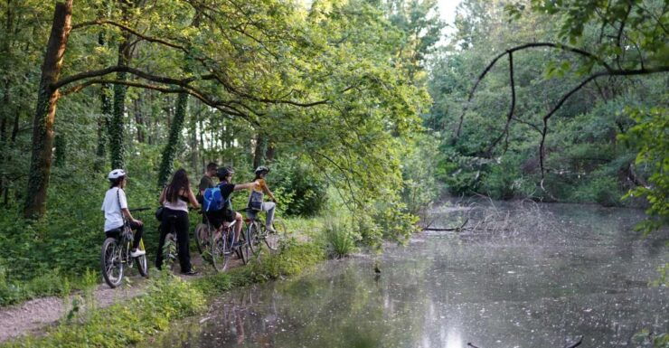 Milan: Bike Tour With Picnic on the Lake - Tour Highlights