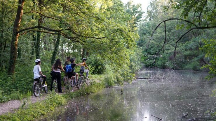 Milan: Bike Tour With Picnic on the Lake - Booking Details