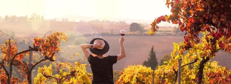 Milan Day Trips: Barolo Wine Tour with a Private Driver - FAQ
