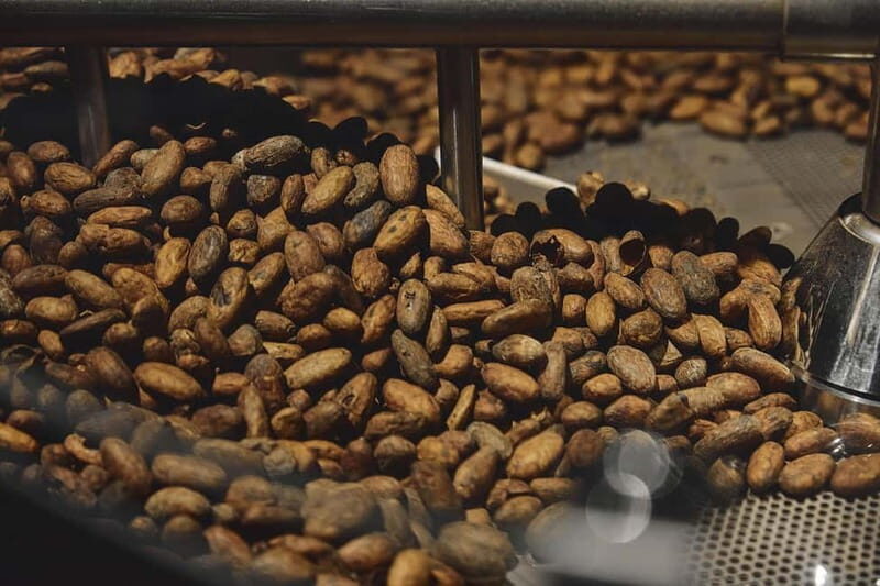 Milan: Enrico Rizzi Chocolate Factory Tour with tasting - Good To Know