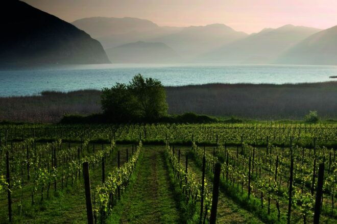 Milan: Franciacorta Winery and Bergamo Day Trip With Lunch - Inclusions
