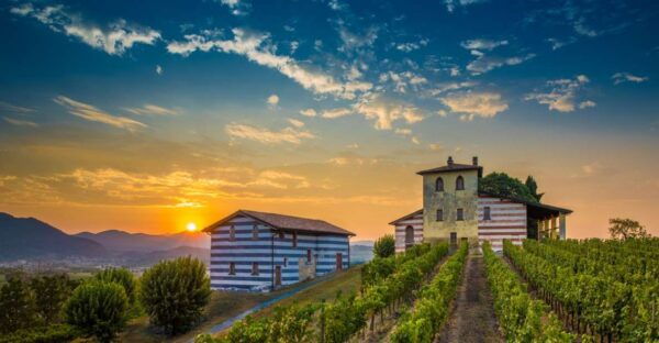 Milan: Franciacorta Winery and Bergamo Day Trip With Lunch - Customer Reviews