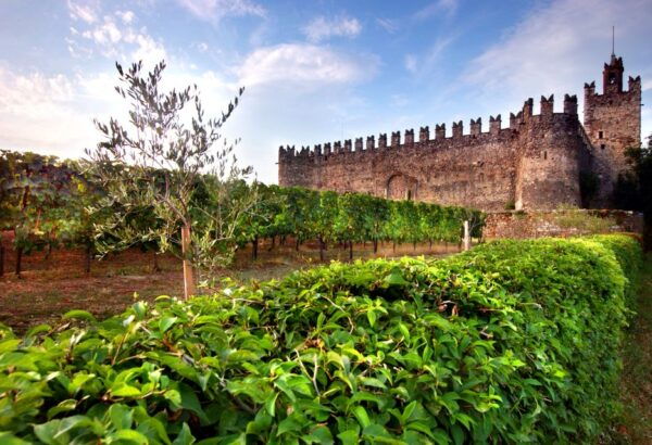 Milan: Franciacorta Winery and Bergamo Day Trip With Lunch - Booking Information