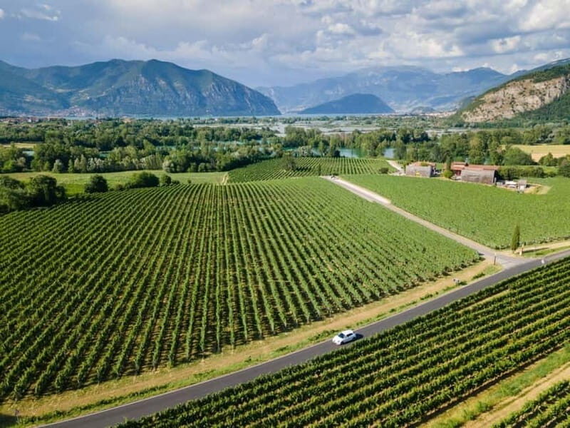 Milan: Lake Iseo & Franciacorta Wine Region with Cruise - What You Should Know Before You Go