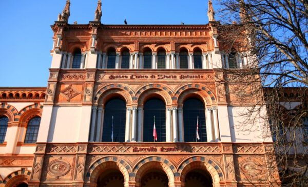 Milan: Natural History Museum Entry Ticket + Audio Guide - The Sum Up
