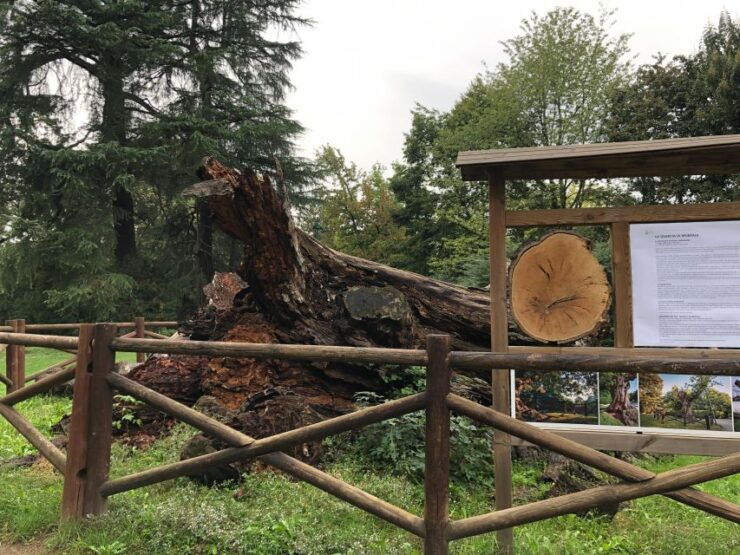 Milan: Self-Guided Audio Tour Exploring Centuries-Old Plants - Experience Highlights