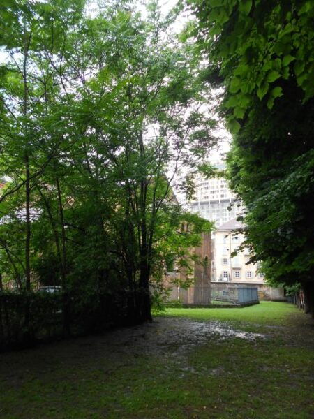 Milan: Skip the Line Castle and Renaissance Private Tour - Customer Reviews
