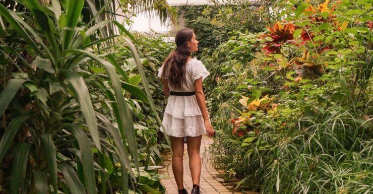 Milano Marittima: Butterfly House - Ticket Price and Booking Details