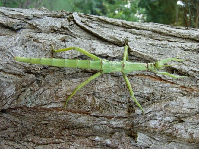 Milano Marittima: Butterfly House - Cancellation Policy and Accessibility