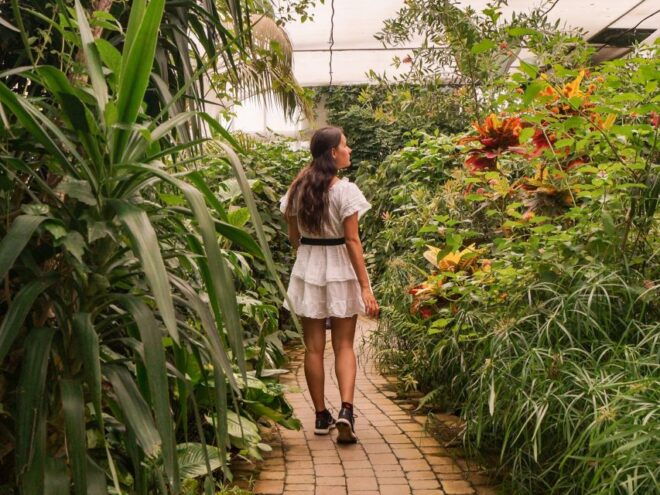 Milano Marittima: Butterfly House - Itinerary Overview