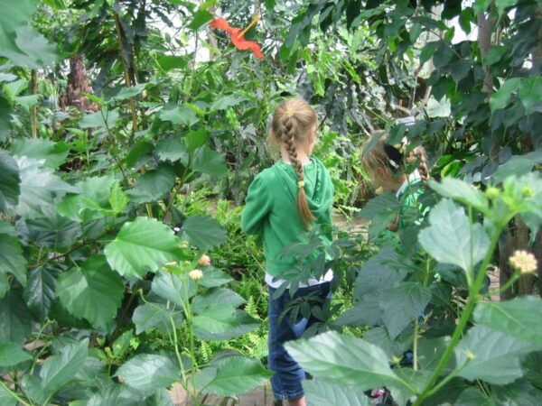 Milano Marittima: Butterfly House - Frequently Asked Questions