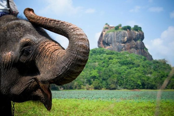 Miles and Smiles Away 6 Nights 7 Days - Package Details
