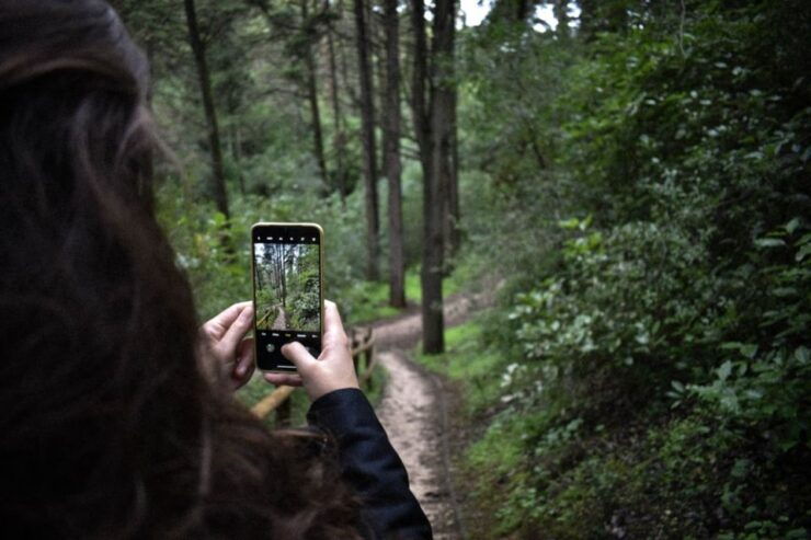 Miles Canyon: Self-Guided Nature Tour With Audio Guide - Experience Highlights