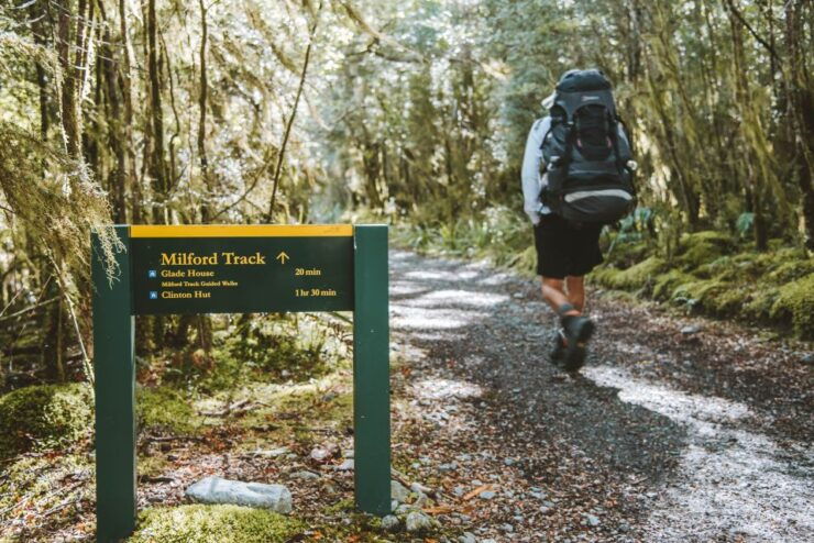 Milford Day Walk Milford Track Day Walk From Lake Te Anau - Activity Details
