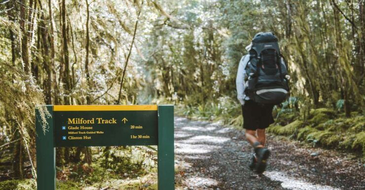Milford Day Walk Milford Track Day Walk From Lake Te Anau - Highlights of the Experience
