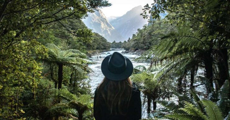 Milford Day Walk: Milford Track Day Walk in Milford Sound - Unforgettable Scenic Hiking Experience