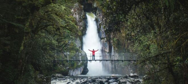 Milford Day Walk: Milford Track Day Walk in Milford Sound - Highlights of the Milford Track Day Walk