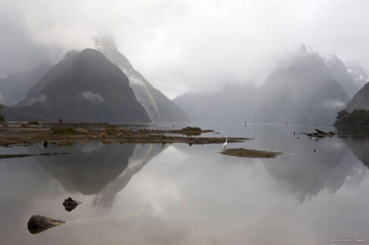 Milford Sound: 1.5-Hour Helicopter Tour With Two Landings - Activity Details