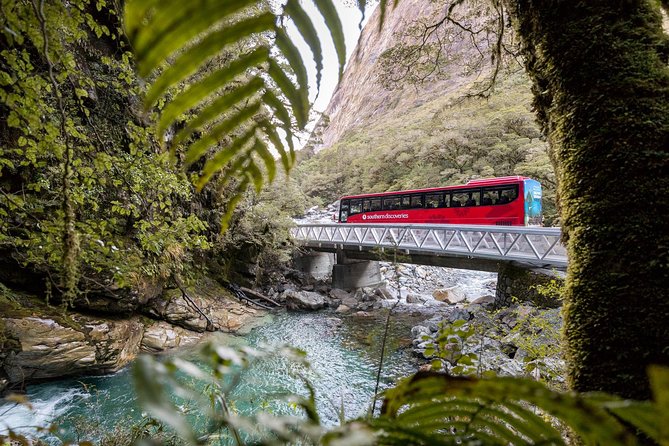 Milford Sound Coach and Scenic Cruise From Te Anau With Buffet Lunch - Traveler Photos