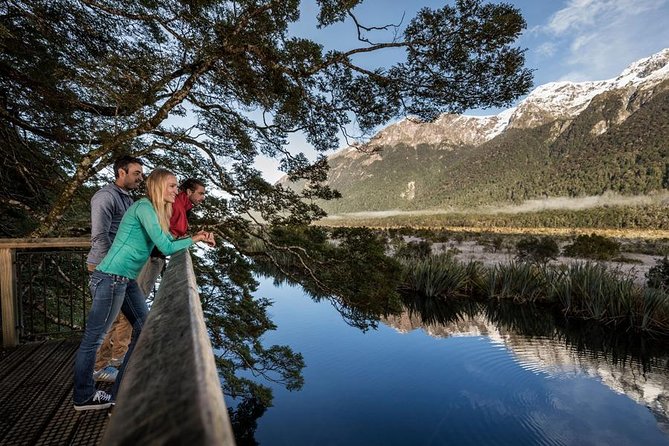 Milford Sound Coach, Cruise and Underwater Observatory With Lunch Ex Te Anau - Traveler Photos