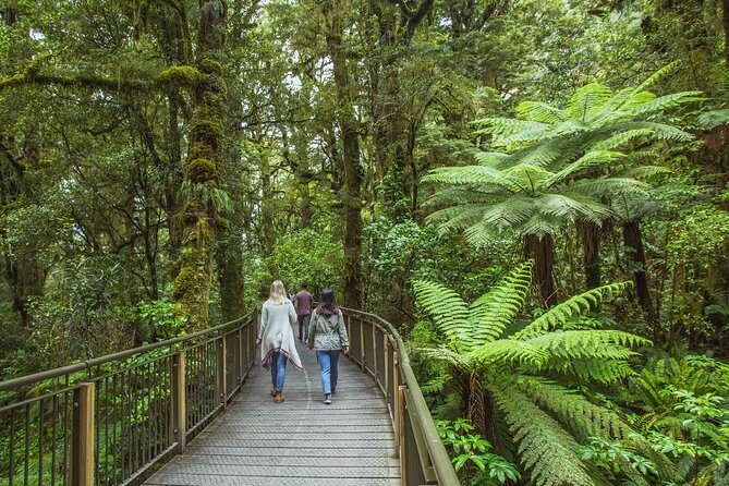 Milford Sound Coach & Cruise Tour From Queenstown - Cancellation Policy