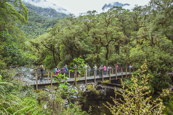 Milford Sound Coach & Cruise Tour From Te Anau - Common Questions
