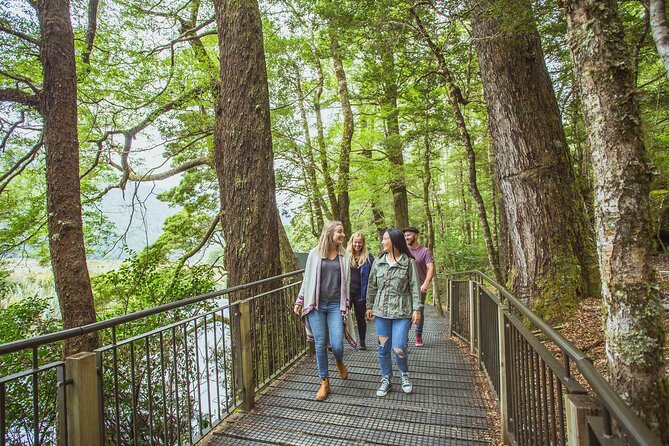Milford Sound Coach & Cruise Tour From Te Anau - The Sum Up