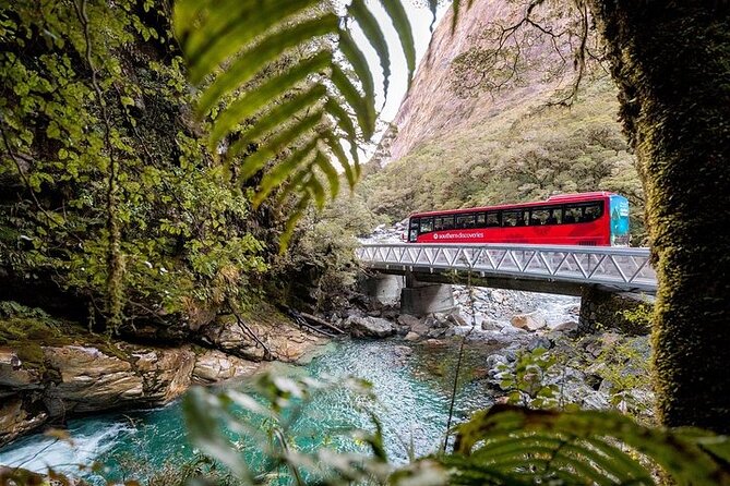 Milford Sound Coach & Discover More With Lunch Ex Queenstown - Start Time and End Point