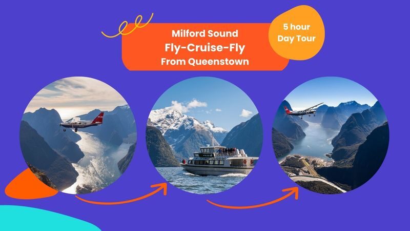 Milford Sound Cruise and Flight Tour - At a glance: what matters most
