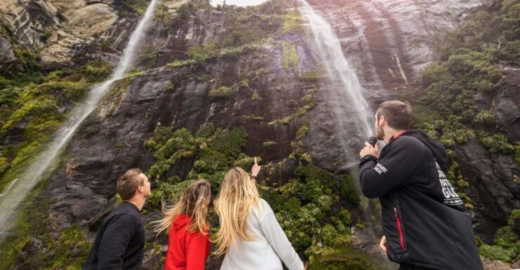 Milford Sound: Cruise and Underwater Observatory - Activity Details