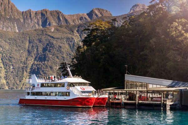 Milford Sound: Cruise and Underwater Observatory - The Sum Up