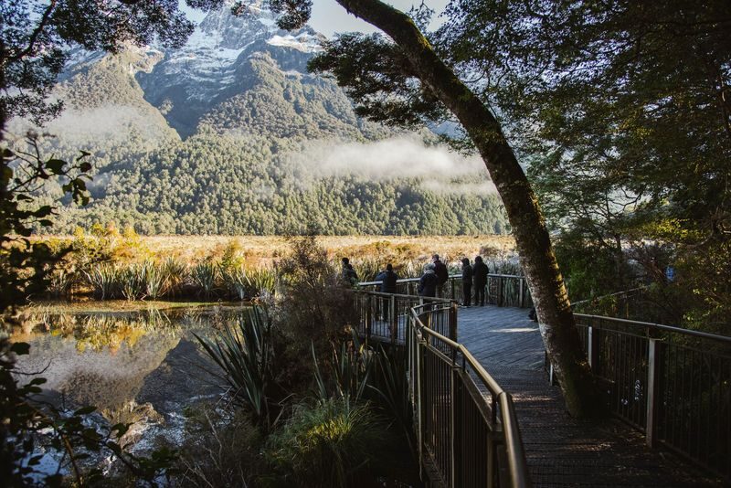 Milford Sound Cruise & Coach Day Tour - Who should book this Milford Sound day tour