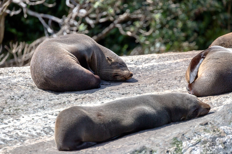 Milford Sound Day Tour from Te Anau - How the tour handles comfort and practical details