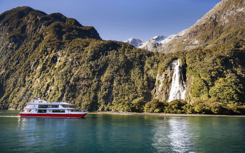 Milford Sound Day Tour with Glass Roof Coach - Who should book this Milford Sound tour?