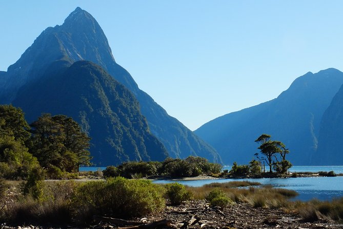 Milford Sound Discovery Tour - Pickup and Start Time