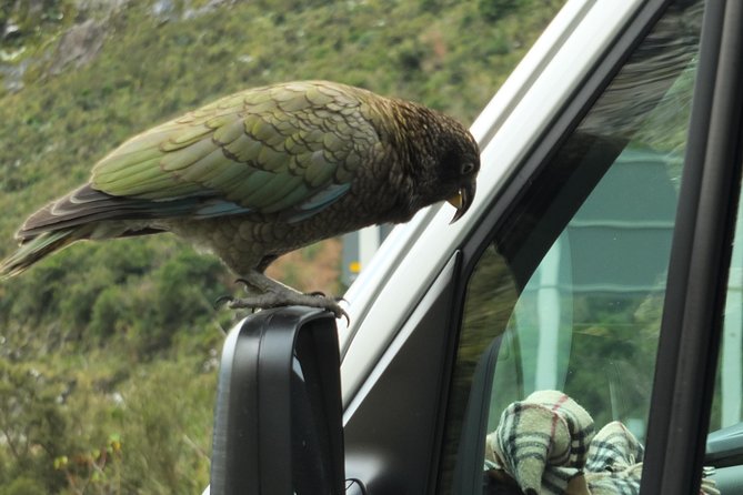 Milford Sound Discovery Tour - Weather Requirements and Alternative Options