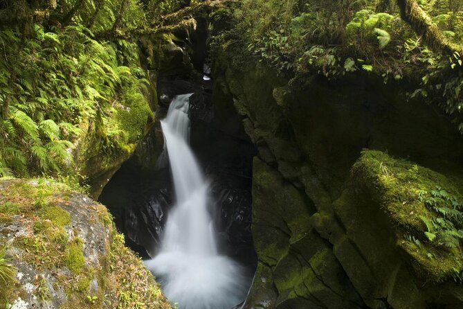 Milford Sound Discovery Tour - Traveler Photos and Reviews