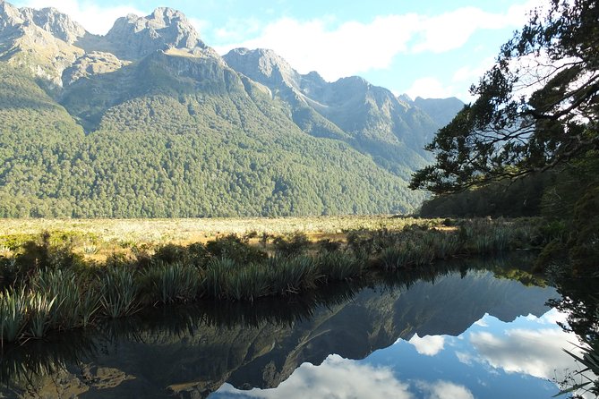 Milford Sound Discovery Tour - Questions and Help Center