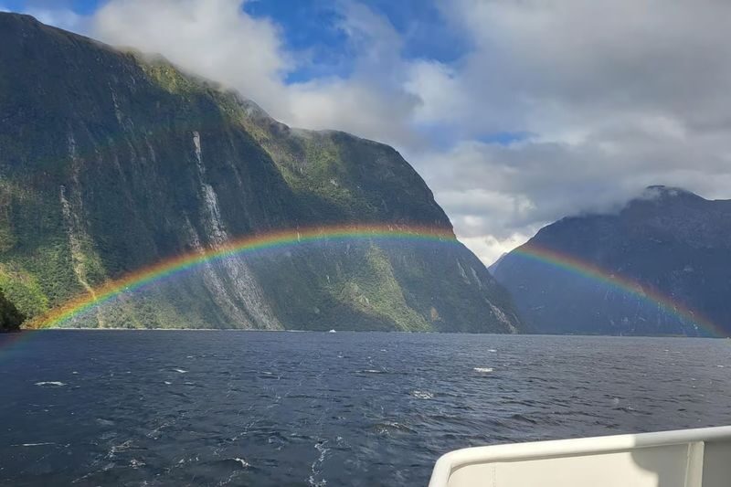 Milford Sound Extended Cruise by Southern Discoveries - Wildlife, with no guarantees