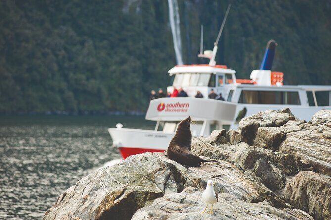 Milford Sound Extended Cruise with Southern Discoveries - Good To Know