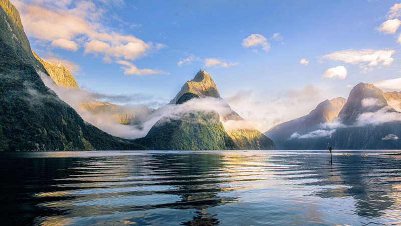 Milford Sound Full-Day Small Group Tour with Lunch - The Milford Sound day starts well before the cruise