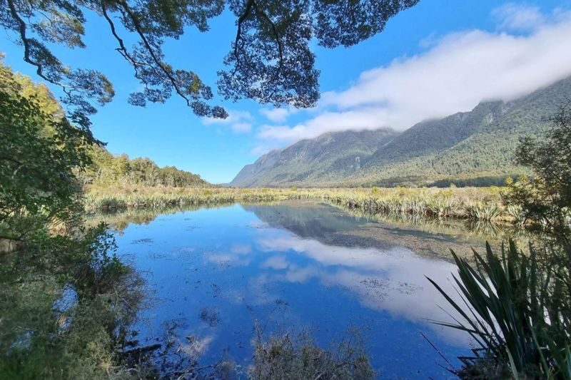 Milford Sound Full-Day Small Group Tour with Lunch - Scenic stops make the road worthwhile