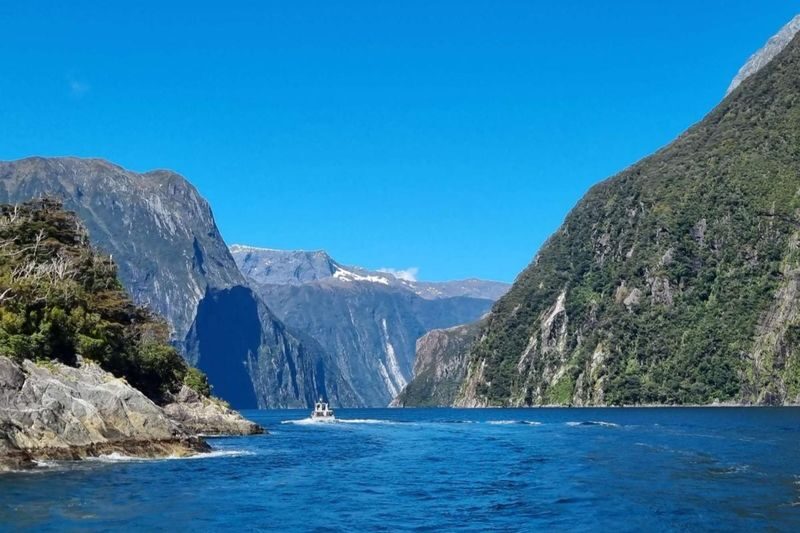 Milford Sound Full-Day Small Group Tour with Lunch - The cruise reveals Milford Sound from the water